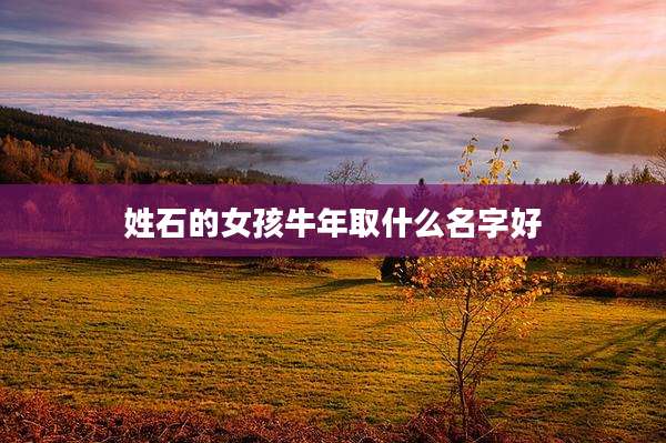 姓石的女孩牛年取什么名字好
