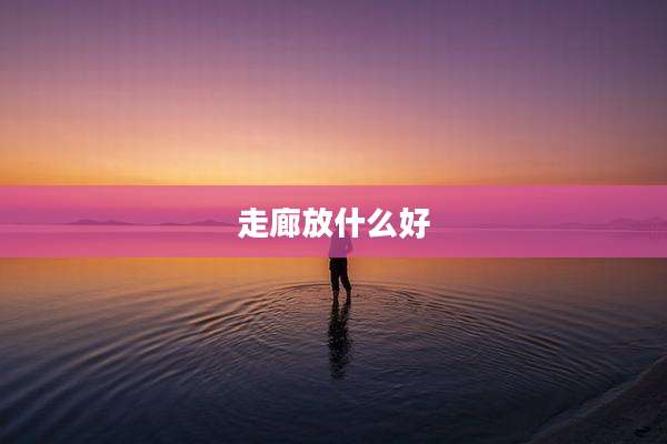 走廊放什么好
