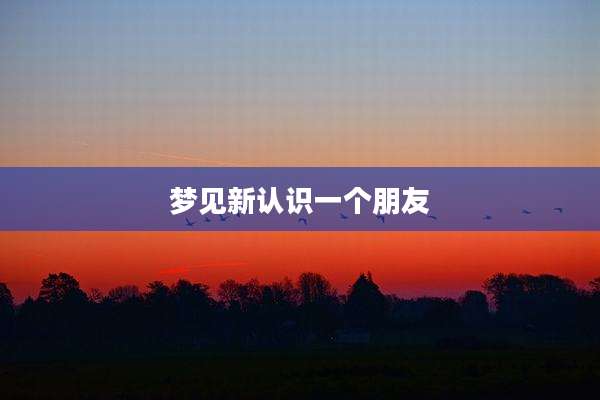 梦见新认识一个朋友