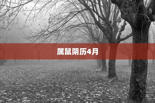 属鼠阴历4月