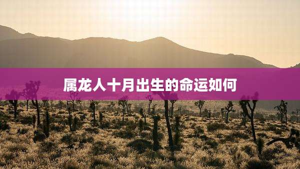 属龙人十月出生的命运如何