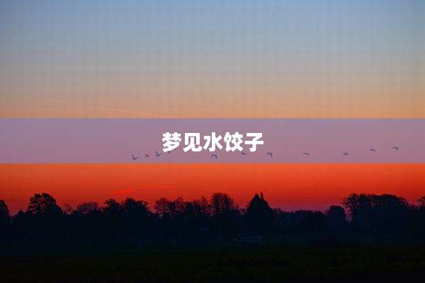 梦见水饺子