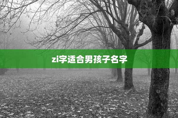 zi字适合男孩子名字