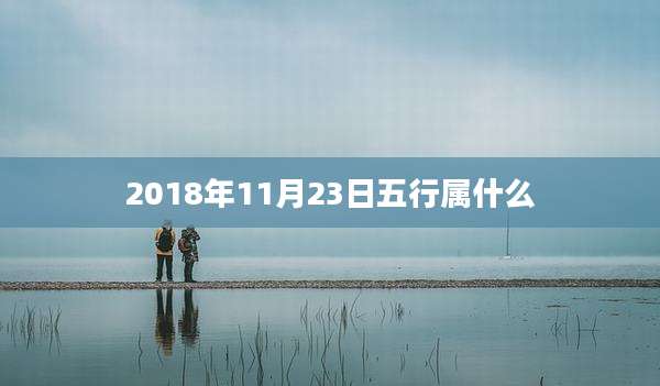 2018年11月23日五行属什么