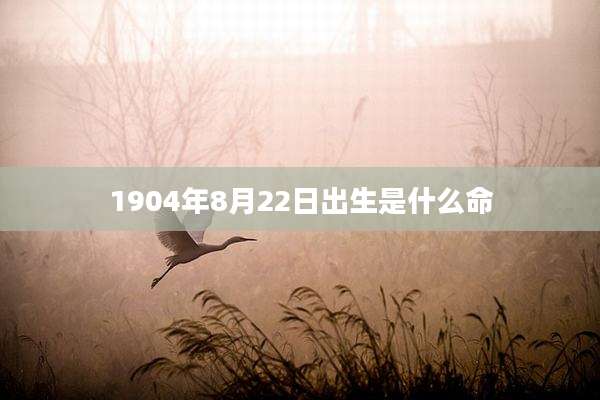 1904年8月22日出生是什么命
