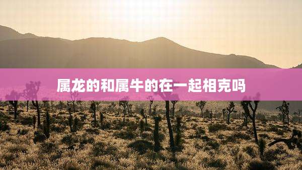 属龙的和属牛的在一起相克吗