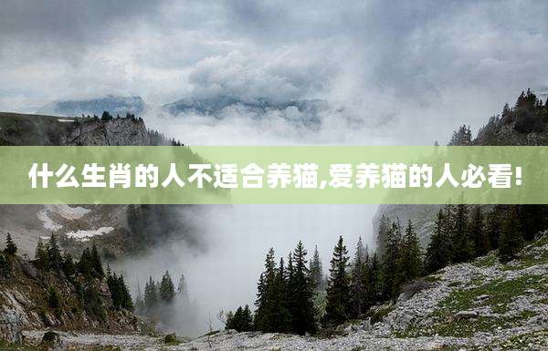 什么生肖的人不适合养猫,爱养猫的人必看!