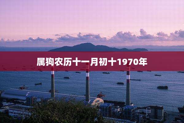 属狗农历十一月初十1970年