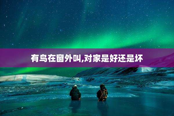 有鸟在窗外叫,对家是好还是坏