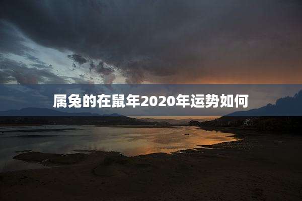属兔的在鼠年2020年运势如何