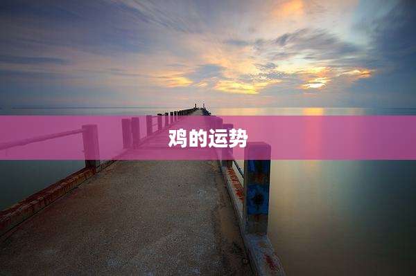 鸡的运势