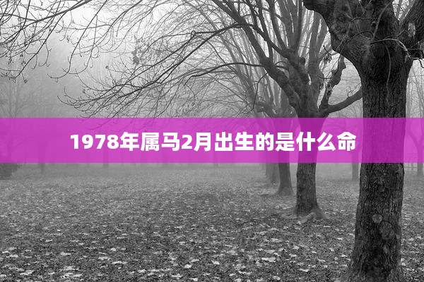 1978年属马2月出生的是什么命