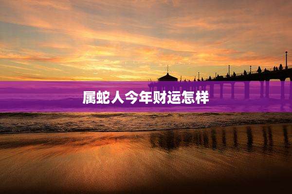 属蛇人今年财运怎样
