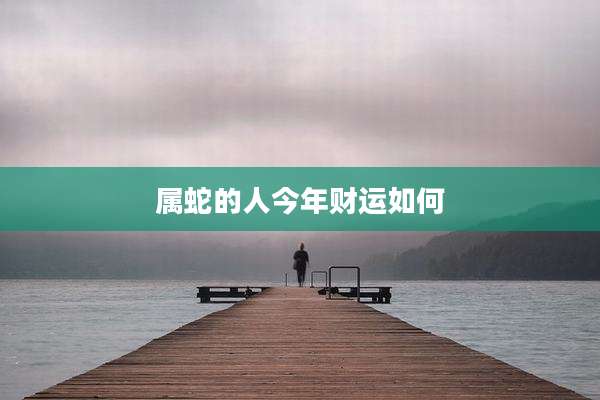 属蛇的人今年财运如何