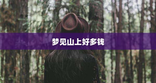 梦见山上好多钱