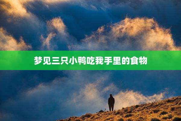 梦见三只小鸭吃我手里的食物