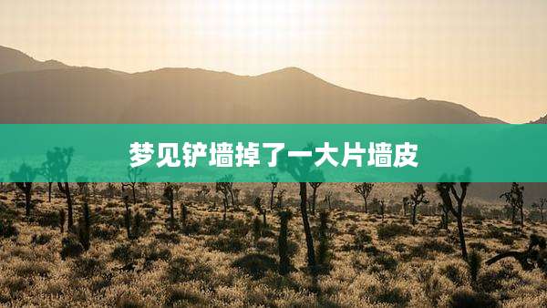 梦见铲墙掉了一大片墙皮
