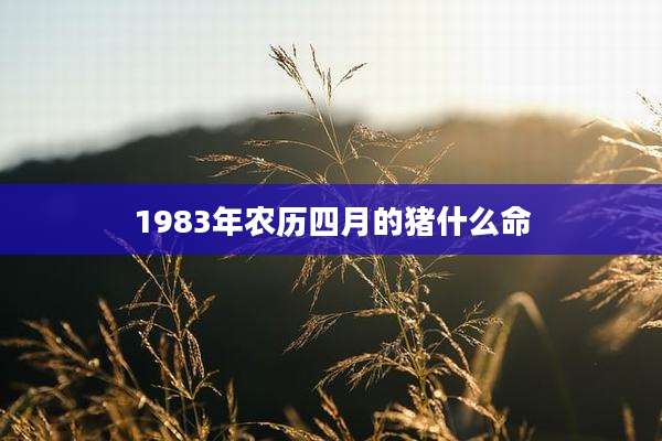1983年农历四月的猪什么命