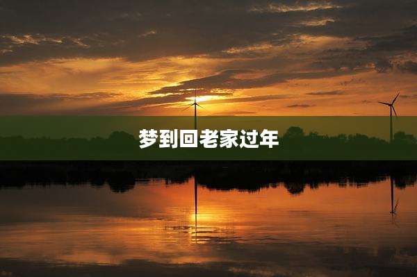 梦到回老家过年