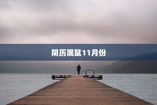 阴历属鼠11月份