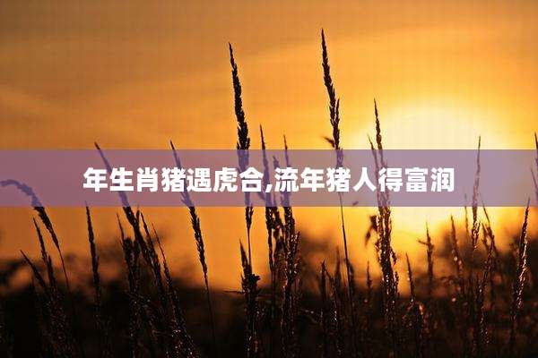 年生肖猪遇虎合,流年猪人得富润
