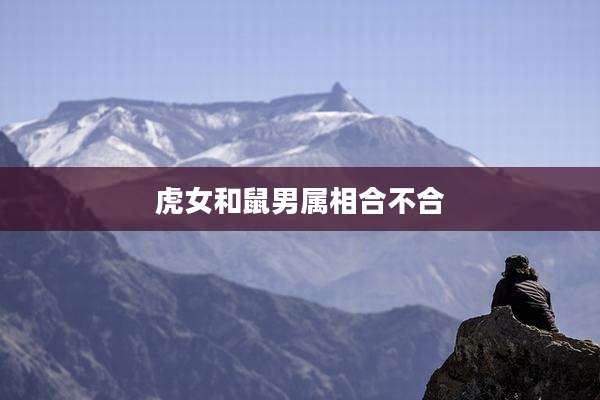 虎女和鼠男属相合不合