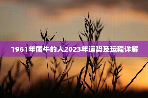 1961年属牛的人2023年运势及运程详解