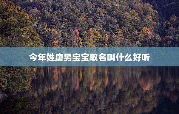 今年姓唐男宝宝取名叫什么好听