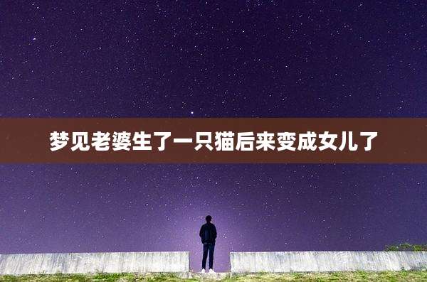 梦见老婆生了一只猫后来变成女儿了