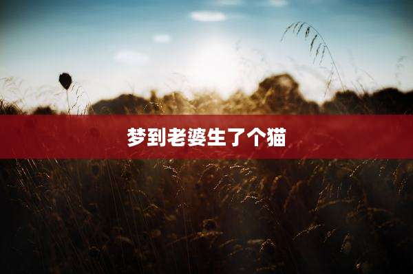 梦到老婆生了个猫