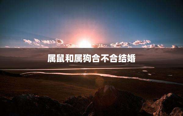 属鼠和属狗合不合结婚