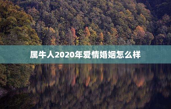属牛人2020年爱情婚姻怎么样
