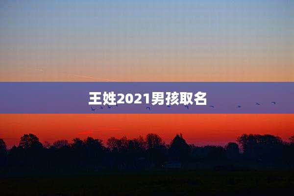 王姓2021男孩取名