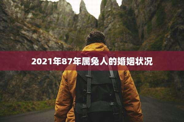 2021年87年属兔人的婚姻状况
