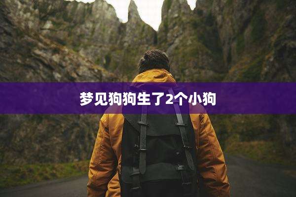 梦见狗狗生了2个小狗