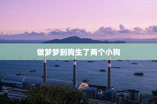 做梦梦到狗生了两个小狗