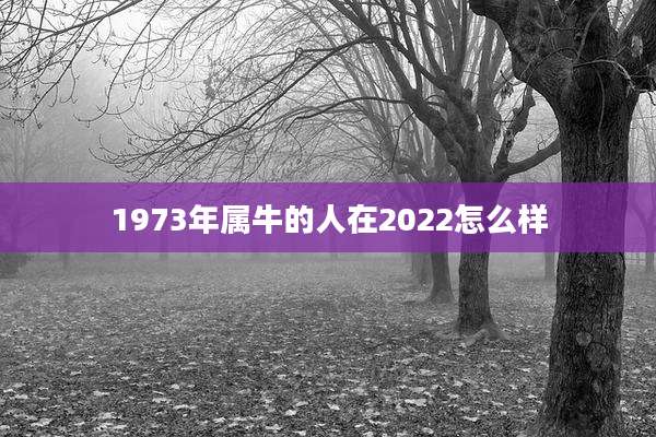 1973年属牛的人在2022怎么样