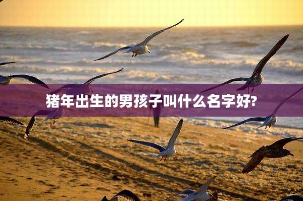 猪年出生的男孩子叫什么名字好?