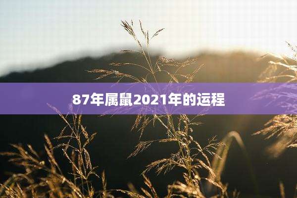 87年属鼠2021年的运程