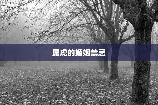属虎的婚姻禁忌
