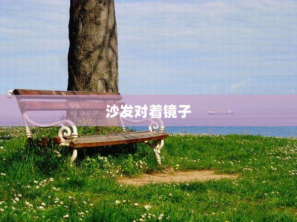 沙发对着镜子