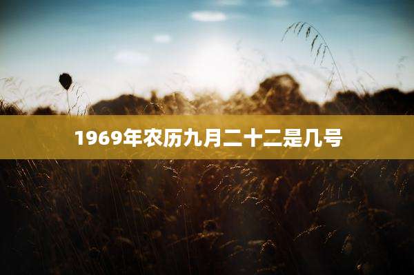 1969年农历九月二十二是几号