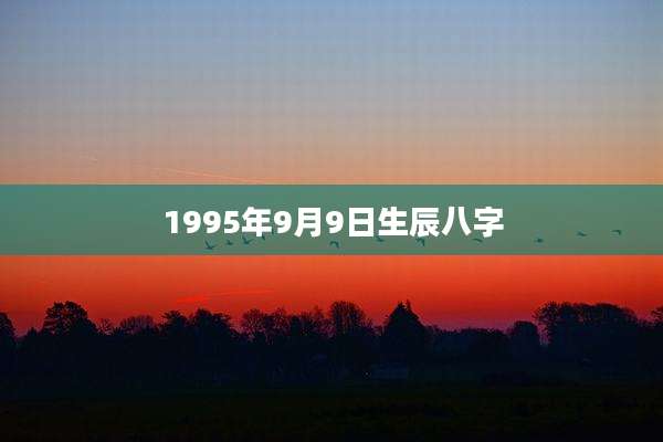 1995年9月9日生辰八字