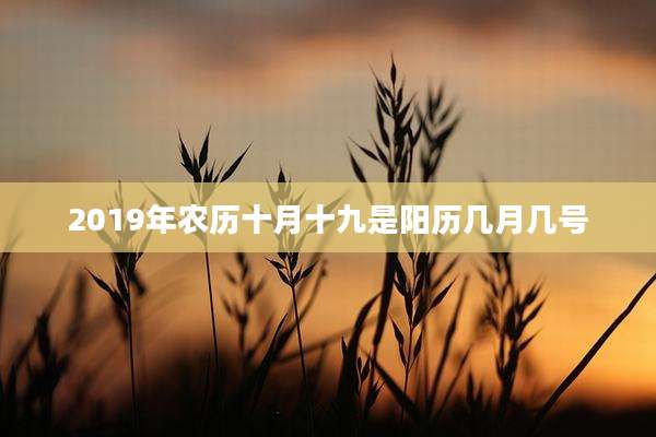 2019年农历十月十九是阳历几月几号