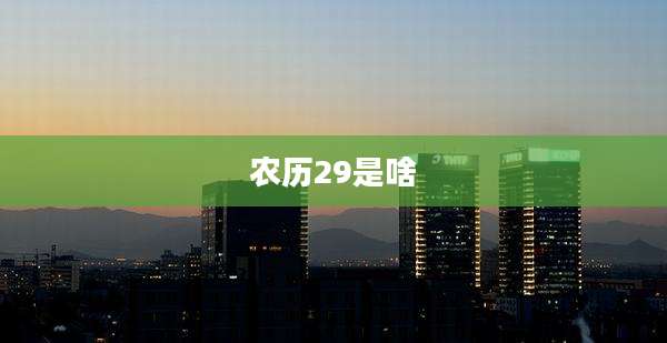 农历29是啥