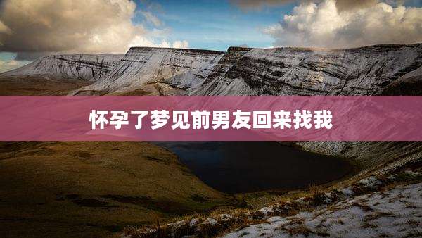 怀孕了梦见前男友回来找我