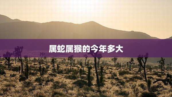 属蛇属猴的今年多大