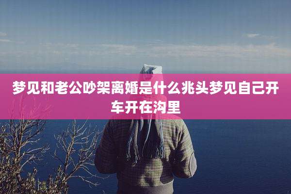 梦见和老公吵架离婚是什么兆头梦见自己开车开在沟里
