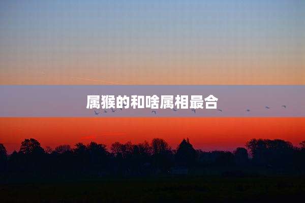 属猴的和啥属相最合