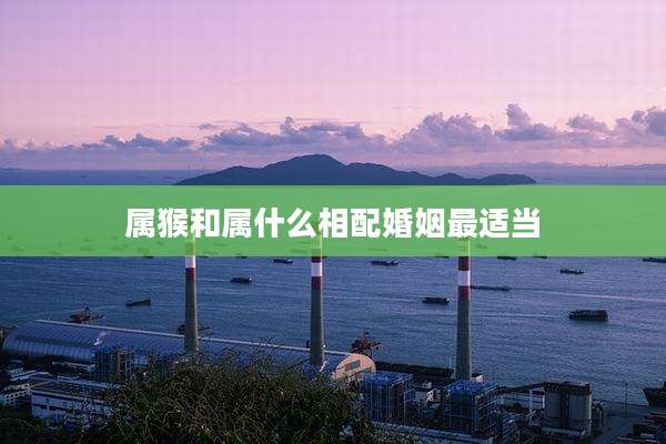 属猴和属什么相配婚姻最适当